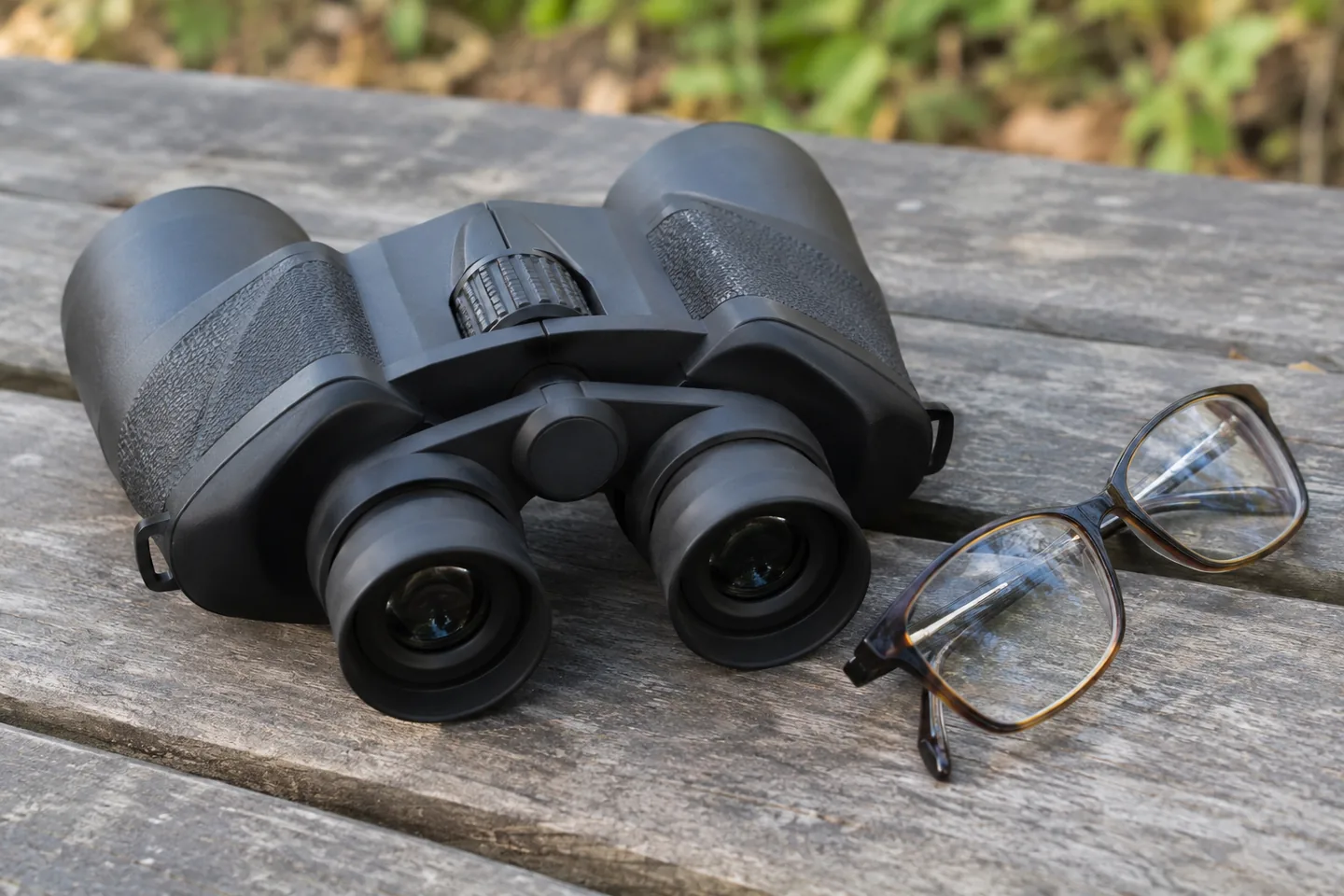 Wildlife binocular detail in everyday use