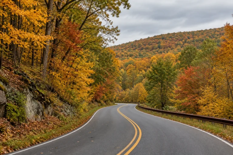 Quiet road through autumn woodland